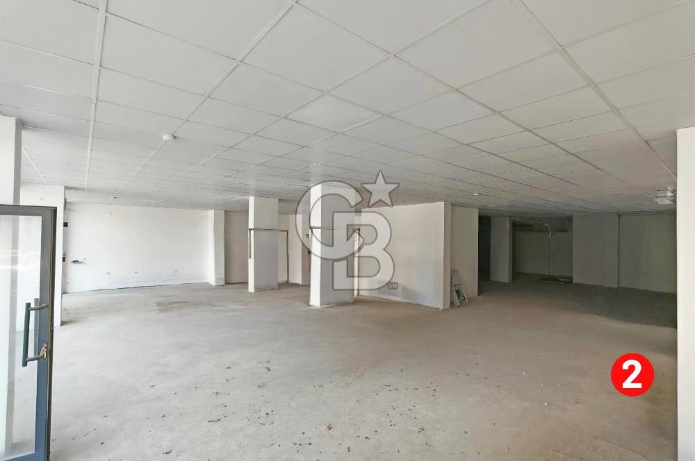 Barış Mh Dr.Zeki Acar Cd KİRALIK Toplam 784 m2 Üç Dükkan