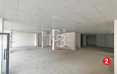 Barış Mh Dr.Zeki Acar Cd KİRALIK Toplam 784 m2 Üç Dükkan