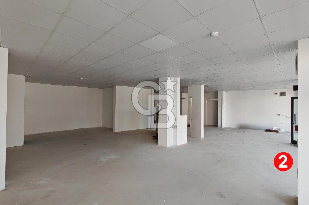 Barış Mh Dr.Zeki Acar Cd KİRALIK Toplam 784 m2 Üç Dükkan
