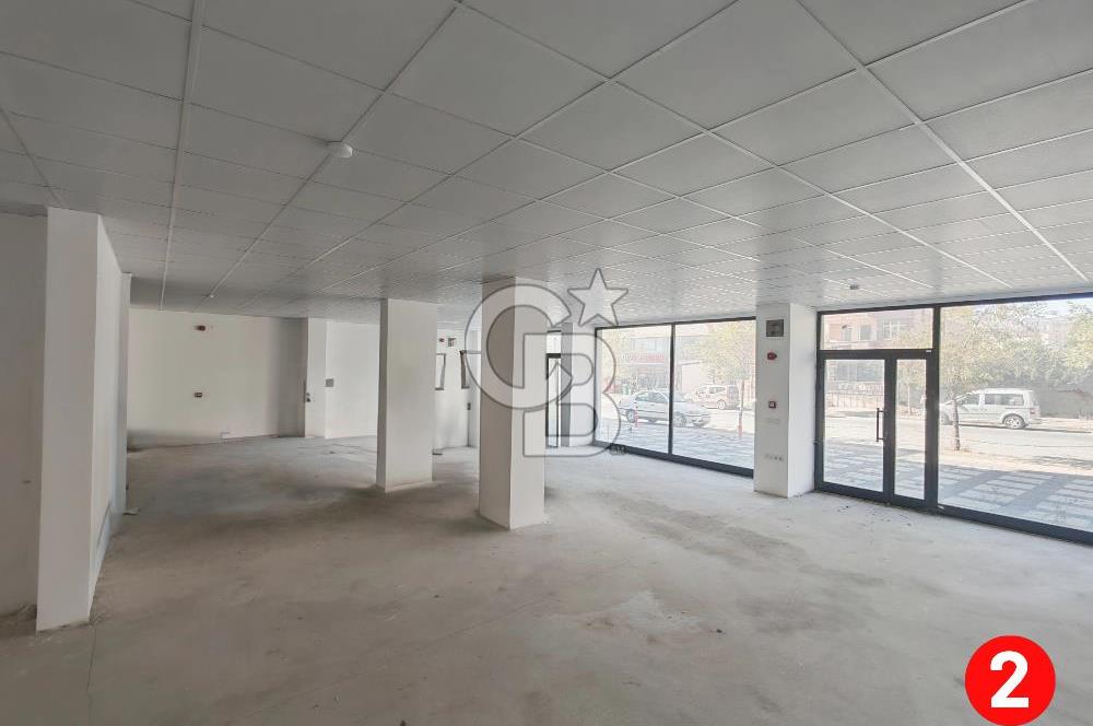 Barış Mh Dr.Zeki Acar Cd KİRALIK Toplam 784 m2 Üç Dükkan