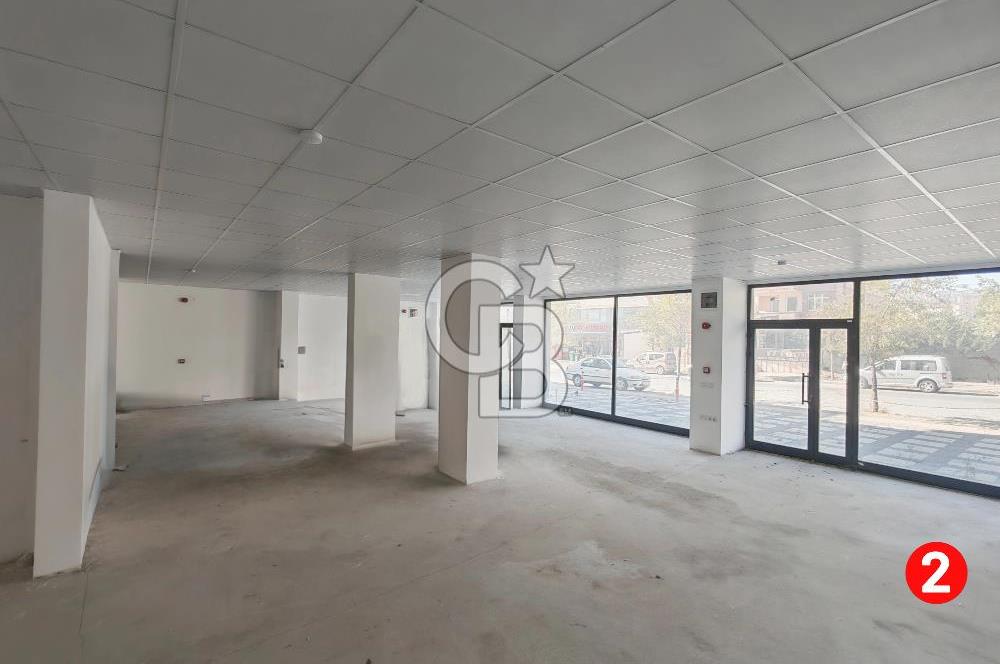 Barış Mh Dr.Zeki Acar Cd KİRALIK Toplam 784 m2 Üç Dükkan