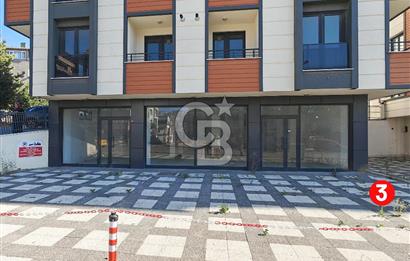 Barış Mh Dr.Zeki Acar Cd KİRALIK Toplam 784 m2 Üç Dükkan