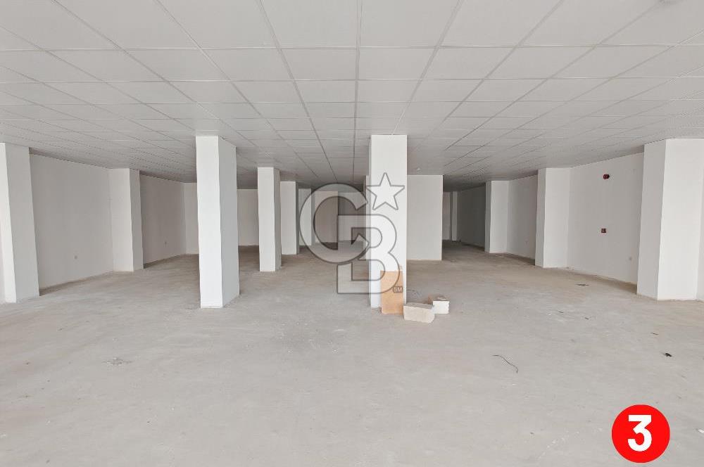 Barış Mh Dr.Zeki Acar Cd KİRALIK Toplam 784 m2 Üç Dükkan