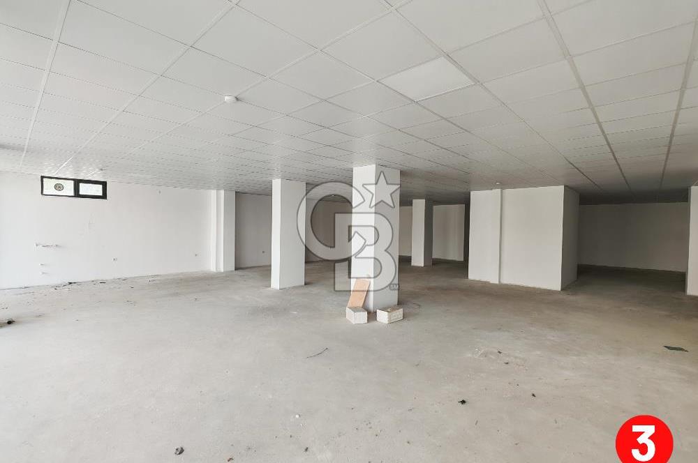 Barış Mh Dr.Zeki Acar Cd KİRALIK Toplam 784 m2 Üç Dükkan