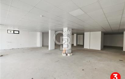 Barış Mh Dr.Zeki Acar Cd KİRALIK Toplam 784 m2 Üç Dükkan