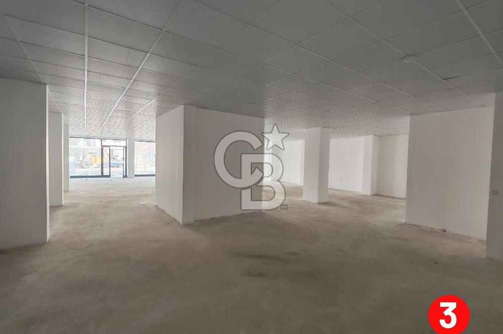 Barış Mh Dr.Zeki Acar Cd KİRALIK Toplam 784 m2 Üç Dükkan