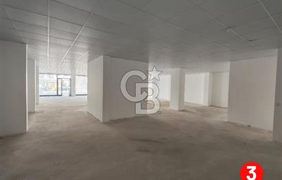 Barış Mh Dr.Zeki Acar Cd KİRALIK Toplam 784 m2 Üç Dükkan