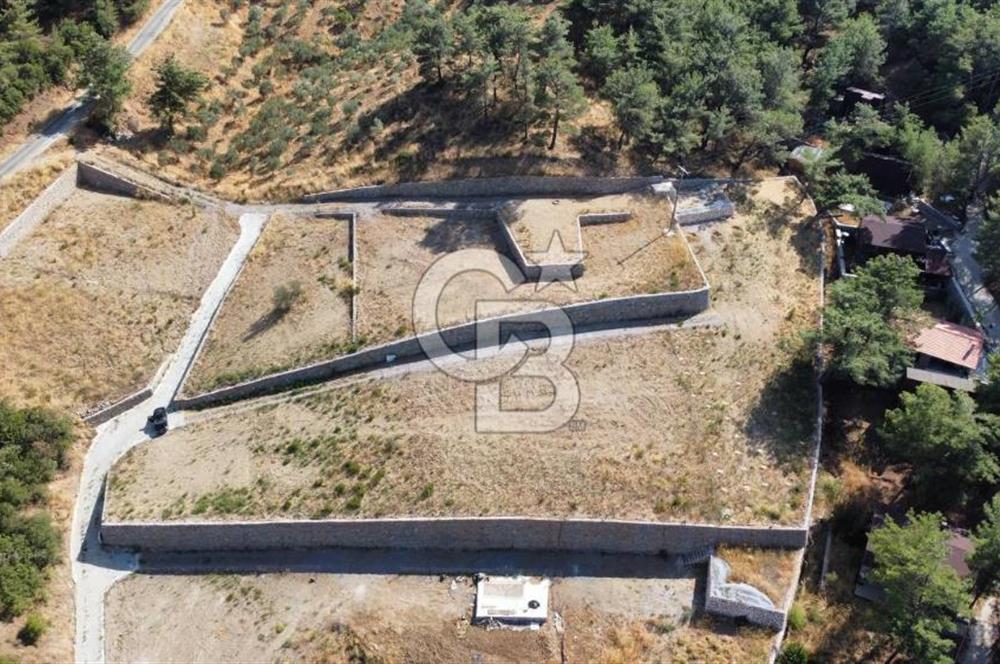 CUMALI DA NİF KÖYE KOMŞU YOLU ELEKTRİĞİ HAZIR SATILIK ZEYTİNLİK 