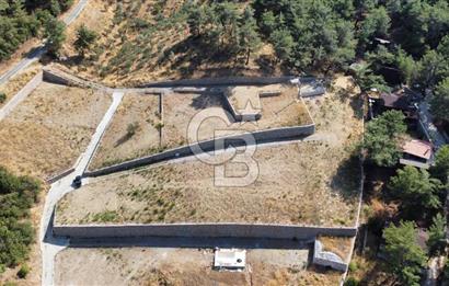 CUMALI DA NİF KÖYE KOMŞU YOLU ELEKTRİĞİ HAZIR SATILIK ZEYTİNLİK 