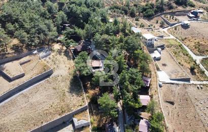 CUMALI DA NİF KÖYE KOMŞU YOLU ELEKTRİĞİ HAZIR SATILIK ZEYTİNLİK 