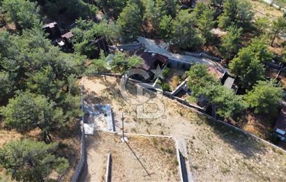 CUMALI DA NİF KÖYE KOMŞU YOLU ELEKTRİĞİ HAZIR SATILIK ZEYTİNLİK 