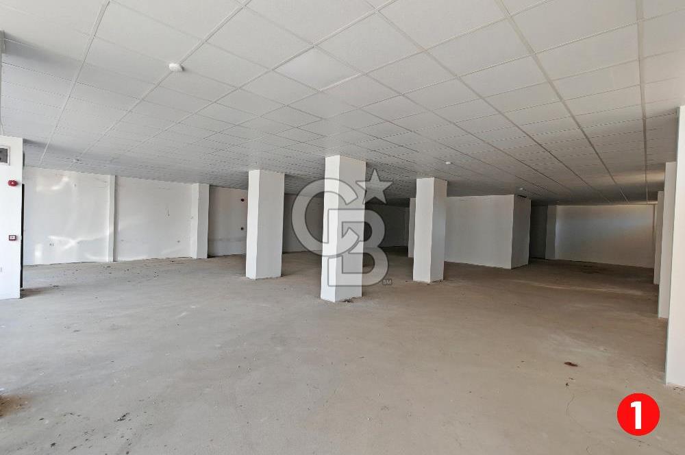 Barış Mh Dr.Zeki Acar Cd KİRALIK Toplam 784 m2 Üç Dükkan