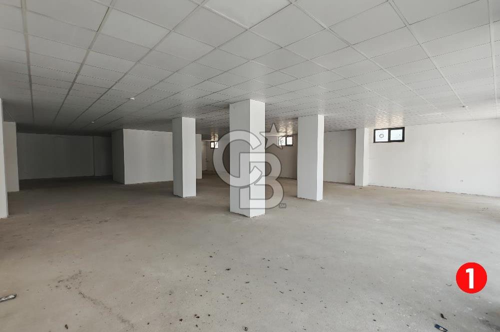 Barış Mh Dr.Zeki Acar Cd KİRALIK Toplam 784 m2 Üç Dükkan
