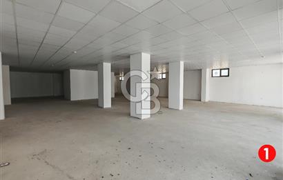 Barış Mh Dr.Zeki Acar Cd KİRALIK Toplam 784 m2 Üç Dükkan
