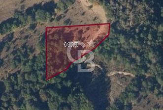 CB BLACK'TAN ORHANELİ'DE 3498 M2 SATILIK TARLA