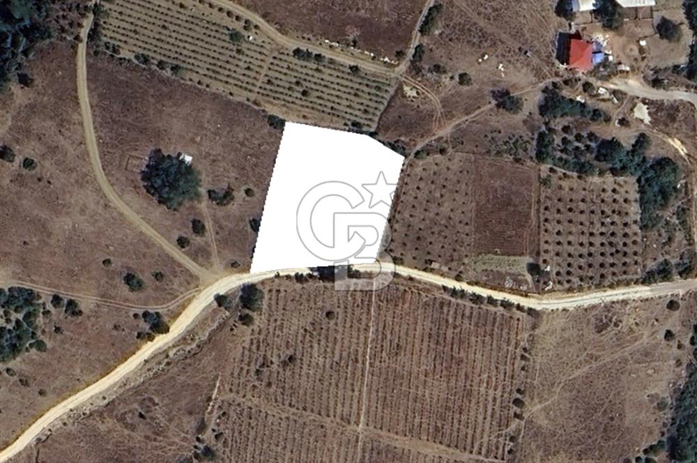 Mersin Mezitli Cemilli Baraj Manzaralı Satılık Tarla