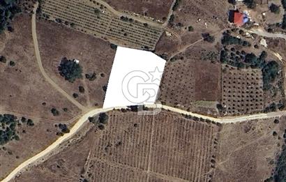 Mersin Mezitli Cemilli Baraj Manzaralı Satılık Tarla