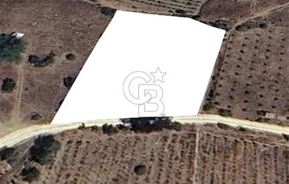 Mersin Mezitli Cemilli Baraj Manzaralı Satılık Tarla
