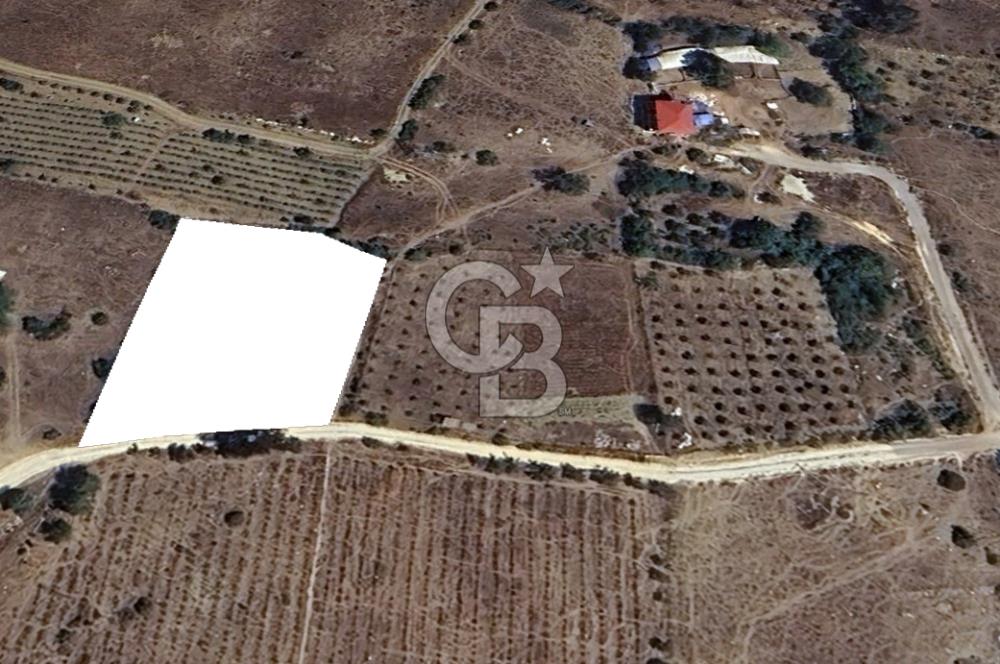 Mersin Mezitli Cemilli Baraj Manzaralı Satılık Tarla