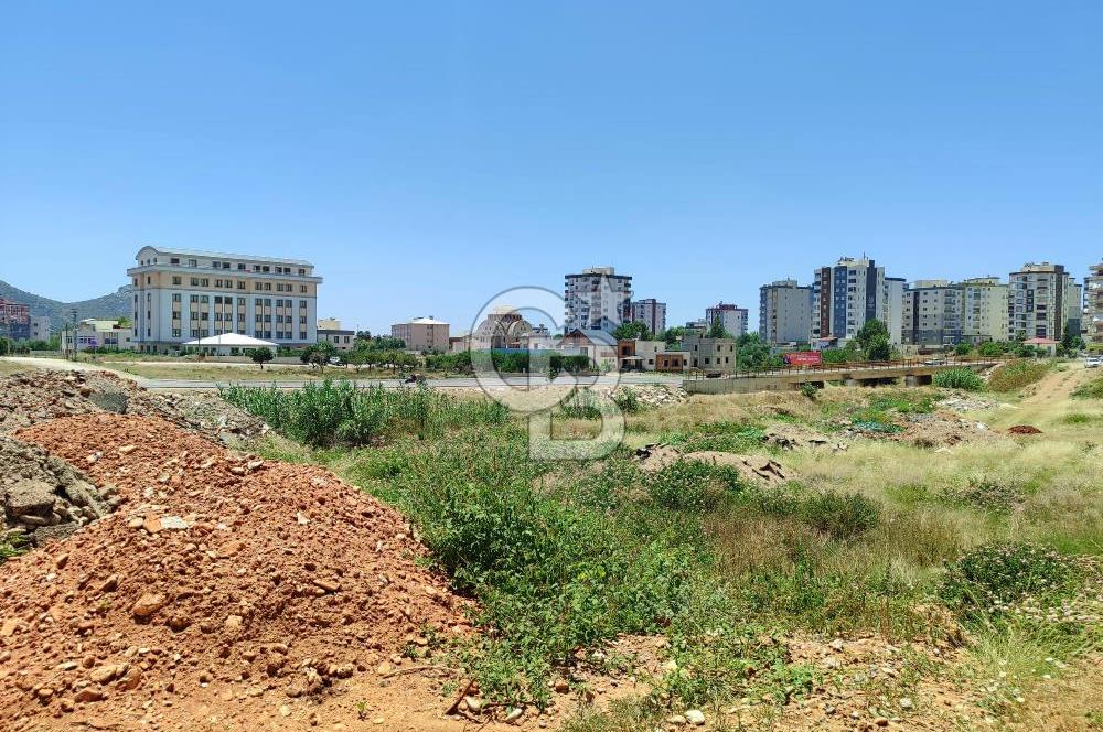 EDİRNE ENEZ'DE ÇOK YÖNLÜ İMARLI SATILIK ARSA