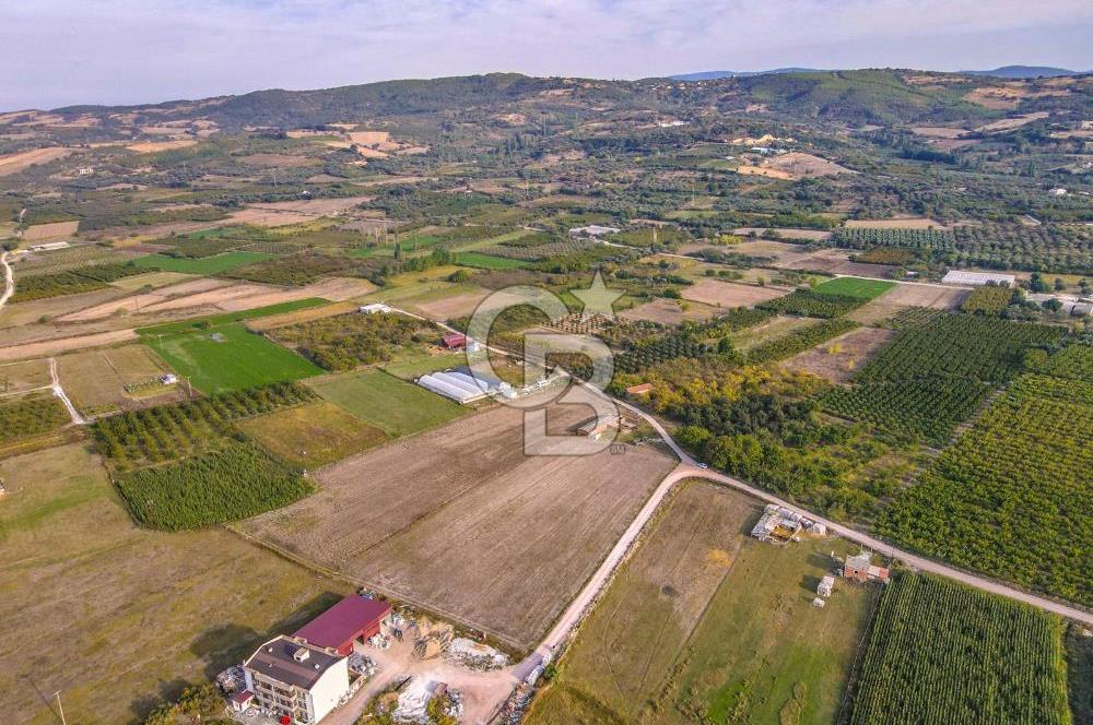 ÇANAKKALE LAPSEKİ ÇARDAK'TA HUZURLU YAŞAM İÇİN VİLLA İMARLI ARSA
