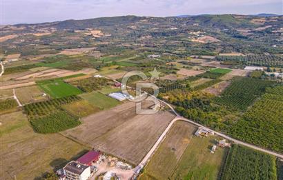 ÇANAKKALE LAPSEKİ ÇARDAK'TA HUZURLU YAŞAM İÇİN VİLLA İMARLI ARSA