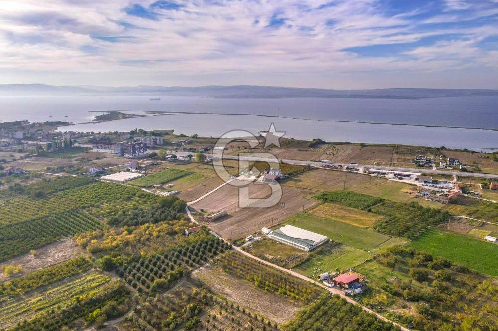 ÇANAKKALE LAPSEKİ ÇARDAK'TA HUZURLU YAŞAM İÇİN VİLLA İMARLI ARSA