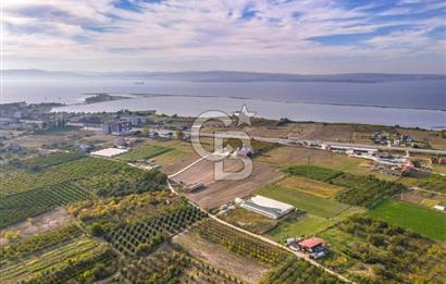 ÇANAKKALE LAPSEKİ ÇARDAK'TA HUZURLU YAŞAM İÇİN VİLLA İMARLI ARSA