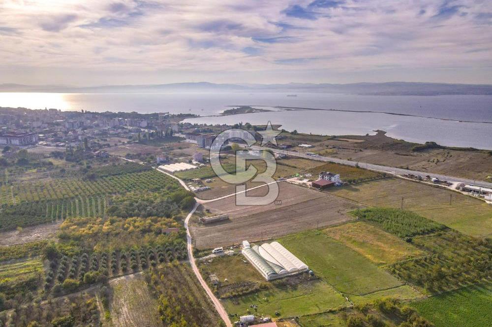 ÇANAKKALE LAPSEKİ ÇARDAK'TA HUZURLU YAŞAM İÇİN VİLLA İMARLI ARSA