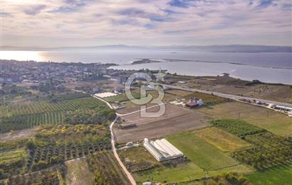 ÇANAKKALE LAPSEKİ ÇARDAK'TA HUZURLU YAŞAM İÇİN VİLLA İMARLI ARSA