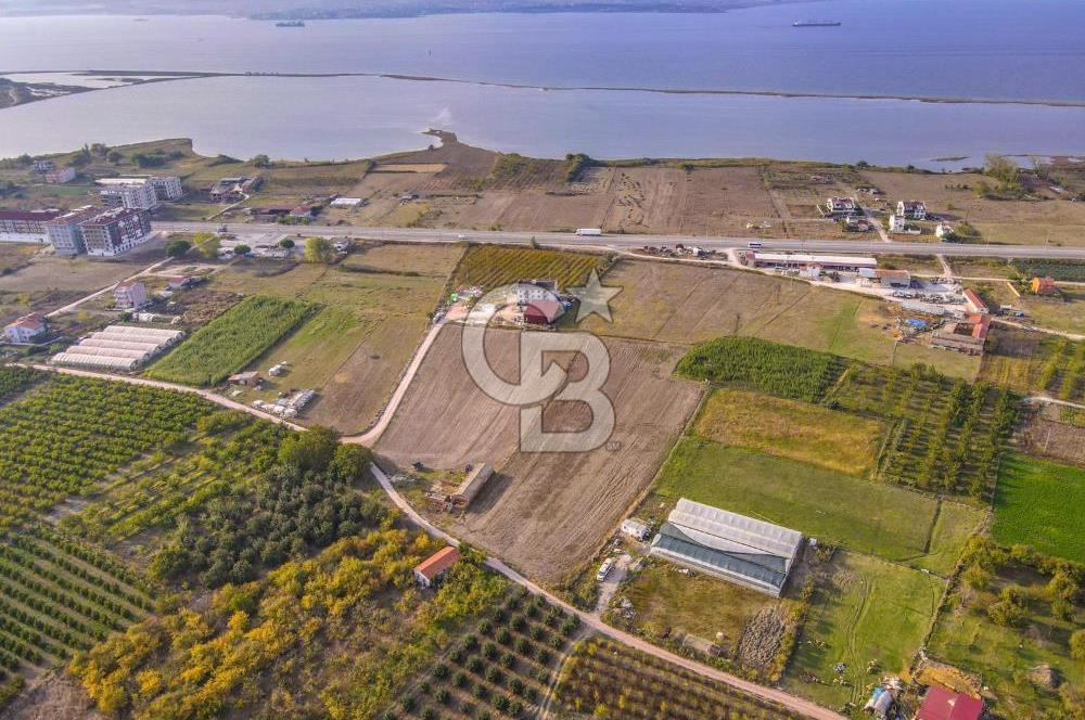 ÇANAKKALE LAPSEKİ ÇARDAK'TA HUZURLU YAŞAM İÇİN VİLLA İMARLI ARSA