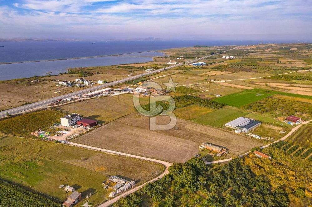 ÇANAKKALE LAPSEKİ ÇARDAK'TA HUZURLU YAŞAM İÇİN VİLLA İMARLI ARSA