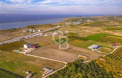 ÇANAKKALE LAPSEKİ ÇARDAK'TA HUZURLU YAŞAM İÇİN VİLLA İMARLI ARSA