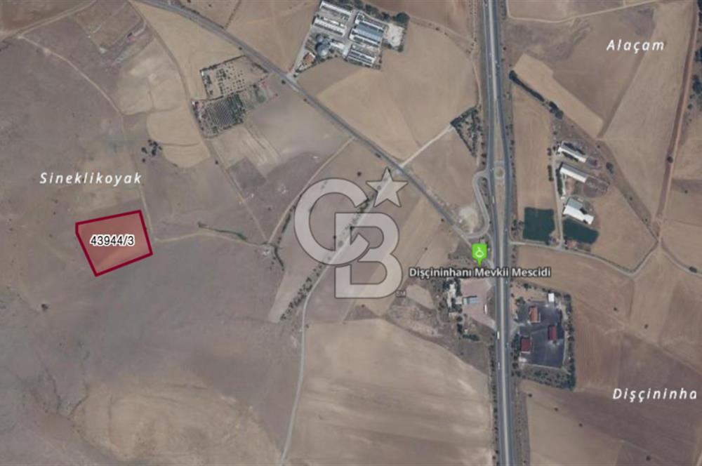 COLDWELL BANKERDAN BAĞRIKURTTA SATILIK TARLA