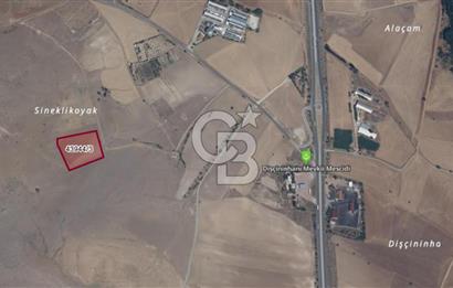 COLDWELL BANKERDAN BAĞRIKURTTA SATILIK TARLA