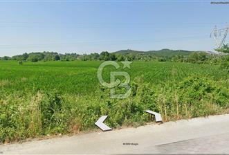 SAKARYA AKYAZI ORMANŞEVKİYE KÖYÜNDE SATILIK E-5 CEPHELİ  ARAZİ!