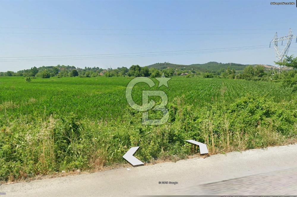 SAKARYA AKYAZI ORMANŞEVKİYE KÖYÜNDE SATILIK E-5 CEPHELİ  ARAZİ!