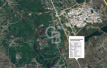 SAKARYA AKYAZI ORMANŞEVKİYE KÖYÜNDE SATILIK E-5 CEPHELİ  ARAZİ!