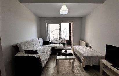 STUDİO CİTY 3.ETAP EŞYALI KİRALIK 1+1 DAİRE