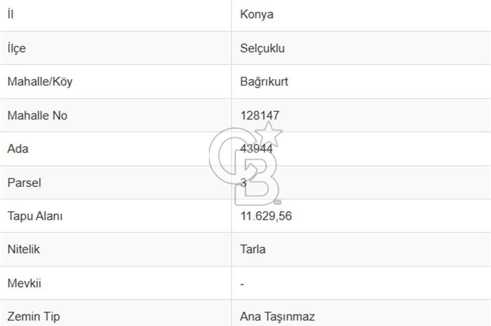 COLDWELL BANKERDAN BAĞRIKURTTA SATILIK TARLA
