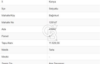 COLDWELL BANKERDAN BAĞRIKURTTA SATILIK TARLA