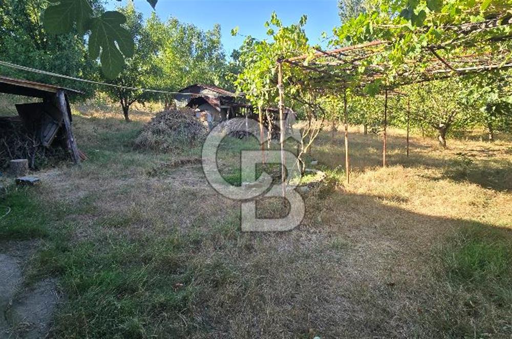 TERMAL AKKÖY KÖYİÇİ'NDE 1.649 m² ARAZİ İÇİNDE YAŞAMAYA HAZIR, BAKIMLI KÖY EVİ!
