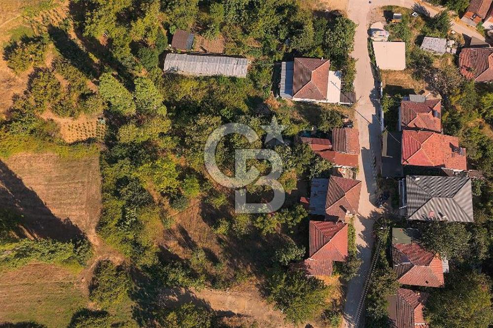 TERMAL AKKÖY KÖYİÇİ'NDE 1.649 m² ARAZİ İÇİNDE YAŞAMAYA HAZIR, BAKIMLI KÖY EVİ!