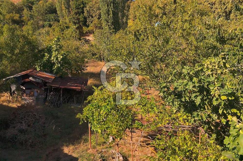 TERMAL AKKÖY KÖYİÇİ'NDE 1.649 m² ARAZİ İÇİNDE YAŞAMAYA HAZIR, BAKIMLI KÖY EVİ!