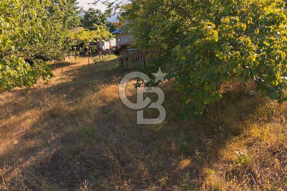 TERMAL AKKÖY KÖYİÇİ'NDE 1.649 m² ARAZİ İÇİNDE YAŞAMAYA HAZIR, BAKIMLI KÖY EVİ!