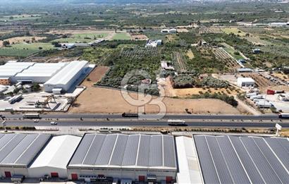 Kemalpaşa Akalan'da Ankara asfaltına cephe Satılık Arazi