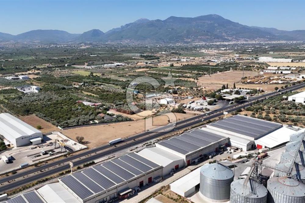 Kemalpaşa Akalan'da Ankara asfaltına cephe Satılık Arazi
