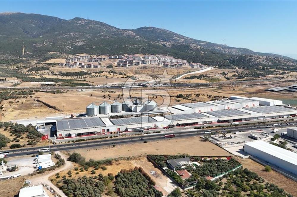 Kemalpaşa Akalan'da Ankara asfaltına cephe Satılık Arazi