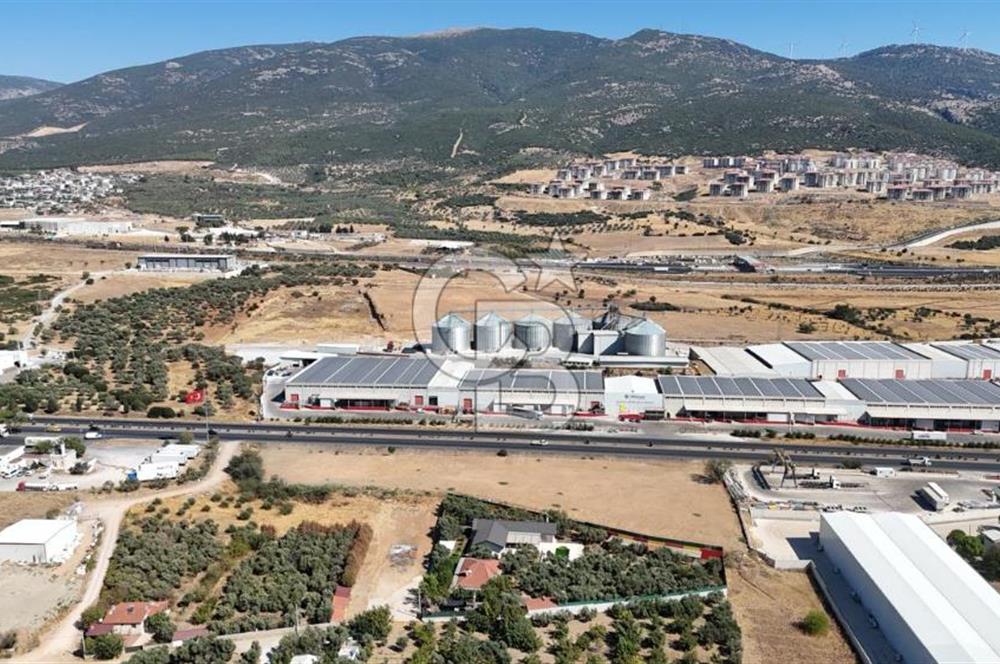 Kemalpaşa Akalan'da Ankara asfaltına cephe Satılık Arazi