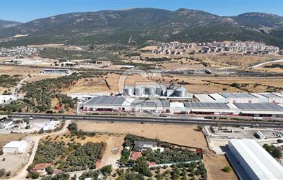 Kemalpaşa Akalan'da Ankara asfaltına cephe Satılık Arazi